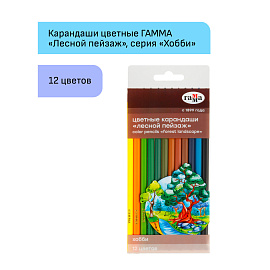 Карандаши цветные Гамма "Хобби. Лесной пейзаж", 12цв., заточен., ПВХ, европодвес