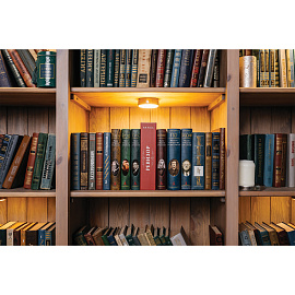 Сейф-книга "Ревизор", 55х155х240 мм, ключевой замок, BRAUBERG, 291052