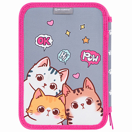 Пенал BRAUBERG, 2 отделения, полиэстер, 21х14 см, "Hi there", 273536