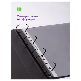 Папка-вкладыш с перфорацией Berlingo, А4, 30мкм, глянцевая фото Папка-вкладыш с перфорацией Berlingo, А4, 30мкм, глянцевая