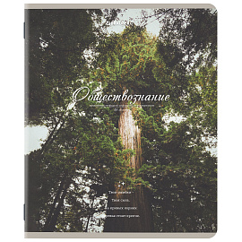 Тетради предметные, КОМПЛЕКТ 12 ПРЕДМЕТОВ, 48 л., SoftTouch, BRAUBERG, "ESTHETICS", 404833