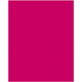 Тетрадь предметная 48л. BG "Перфокарта" - Русский язык, пластиковая обложка