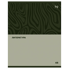 Тетрадь предметная 48л. BG "Single colour" - Литература, эконом