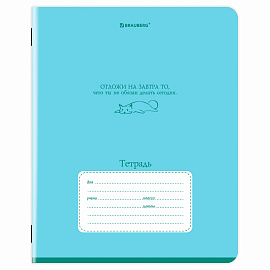 Тетрадь 24 л. BRAUBERG клетка, обложка картон, PHRASES, 107304