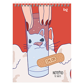 Блокнот А5 40л. на гребне BG "Такие смешные