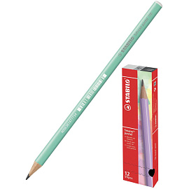 Карандаш чернографитный HB Stabilo Schwan Pastel заточенный круглый зеленый корпус фото Карандаш чернографитный HB Stabilo Schwan Pastel заточенный круглый зеленый корпус