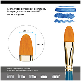 Кисть художественная синтетика Гамма "Галерея", плоскоовальная №22, короткая ручка фото Кисть художественная синтетика Гамма "Галерея", плоскоовальная №22, короткая ручка