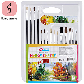 Набор кистей ArtSpace 15шт., пони, щетина, плоские, круглые, блистер