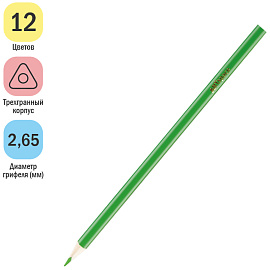 Карандаши цветные ArtSpace "Лесные жители", 12цв., трехгран., заточен., картон. уп., европодвес фото Карандаши цветные ArtSpace "Лесные жители", 12цв., трехгран., заточен., картон. уп., европодвес