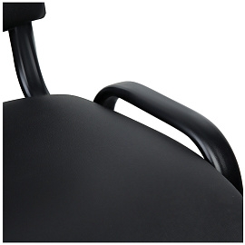 Стул Helmi HL-F01 "Изо", каркас черный, обивка кожзам черный