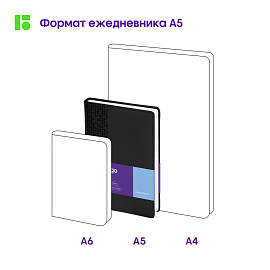 Ежедневник недатированный, А5, 160л., кожзам, Berlingo "Vivella Prestige", черный