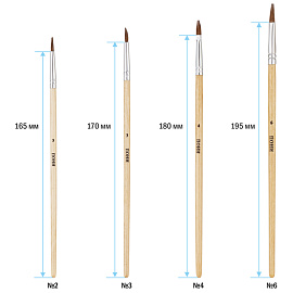 Набор кистей ArtSpace 4шт., Пони, круглые № 2, 3, плоские № 4, 6, блистер, европодвес