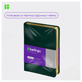 Ежедневник недатированный, А6, 160л., кожзам, Berlingo "xGold", зол. срез, зеленый