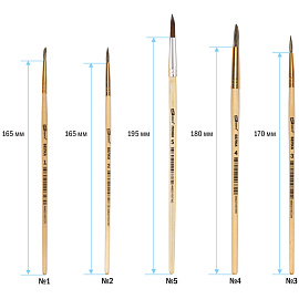 Набор кистей ArtSpace 5шт., белка, круглые, № 1, 2, 3, 4, 5, блистер