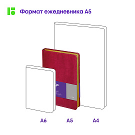 Ежедневник недатированный, А5, 160л., кожзам, Berlingo "xGold", зол. срез, фуксия