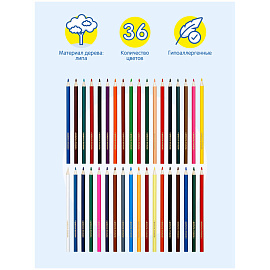 Карандаши цветные Мульти-Пульти "Невероятные приключения", 36цв., заточен., картон, европодвес фото Карандаши цветные Мульти-Пульти "Невероятные приключения", 36цв., заточен., картон, европодвес