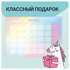 Планер магнитно-маркерный 21х29.7 см разноцветный с маркером Meshu Gradient