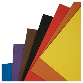 Картон цветной А4, Мульти-Пульти, 8л., 8цв., немелованный, в папке, "Приключения Енота