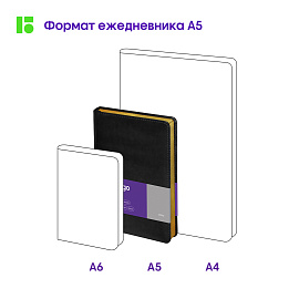 Ежедневник недатированный, А5, 160л., кожзам, Berlingo "xGold", зол. срез, черный