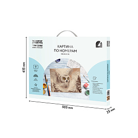 Картина по номерам на холсте ТРИ СОВЫ "Полярная сова", 40*50, с акриловыми красками и кистями