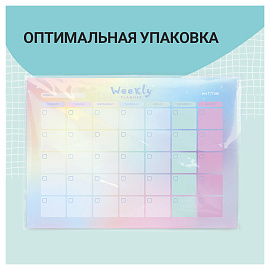 Планер магнитно-маркерный 21х29.7 см разноцветный с маркером Meshu Gradient