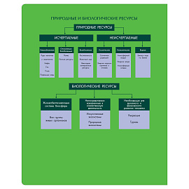 Тетрадь предметная 48л. BG "Профтест" - Биология, эконом