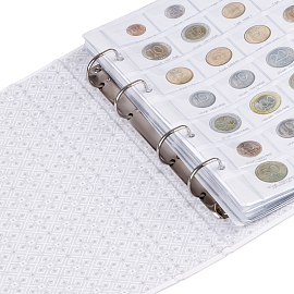 Альбом для монет OfficeSpace "Монеты РФ рег. выпуска с 1991 года", 230*265, на кольцах, 8л., перечень монет, ламинированный