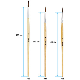 Набор кистей ArtSpace 3шт., пони, круглые, № 2, 3, 5, блистер