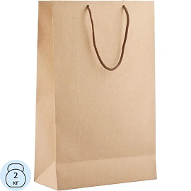 Пакет подарочный Проект 111 Крафт (35x23x10 см)