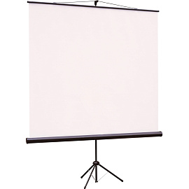 Экран для проектора Viewscreen Clamp 150x150 (TCL-1101)