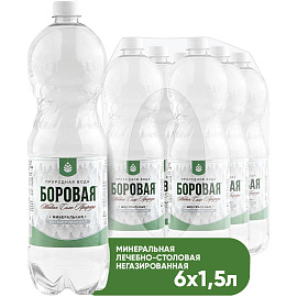 Вода минеральная Боровая лечебно-столовая негазированная 1.5 л