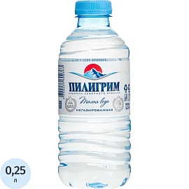 Вода минеральная Пилигрим столовая негазированная 0.25 л