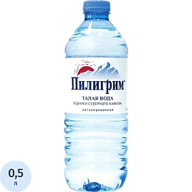 Вода минеральная Пилигрим столовая негазированная 0.5 л фото Вода минеральная Пилигрим столовая негазированная 0.5 л