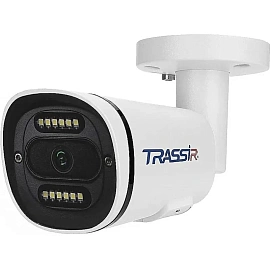 IP-камера видеонаблюдения уличная TRASSIR TR-D2121CL3 (4 мм, PoE)