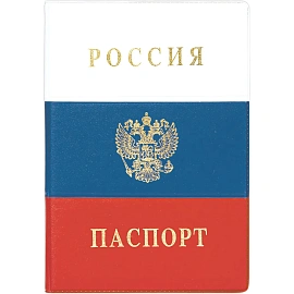 Обложка для паспорта ДПС Россия из ПВХ разноцветная (2203.Ф)