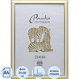 Рамка Зебра А4 21x30 см пластиковый багет 19 мм белая