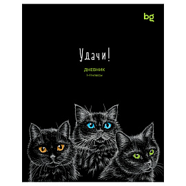 Дневник 1-11 кл. 40л. на скобе BG "Удачи!