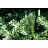 Елка новогодняя Green Trees Королева леса напольная 3 м Фото 2