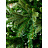 Елка новогодняя Green Trees Барокко Премиум напольная 2.1 м Фото 1