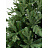Елка новогодняя Green Trees Валерио напольная 1.2 м Фото 1