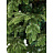 Елка новогодняя Green Trees Онтарио напольная 1.8 м Фото 0