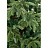 Елка новогодняя Green Trees Онтарио напольная 2.1 м Фото 4