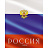 Дневник школьный Апплика Российского школьника 1-11 классы твёрдая обложка Фото 8