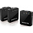 Радиосистема Takstar V1 Dual Channel Apple Version
