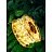 Электрогирлянда Magic Time линия белый теплый свет 2000 светодиодов (200 м)