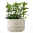 Опора для растений Garden Show Круглая 25.5x18x1 см металл Фото 1