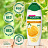 Шампунь 450 мл, PALMOLIVE НАТУРЭЛЬ "Мёд", для сухих, поврежденных волос, 8718951556485 Фото 0