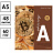 Тетрадь предметная 48л. ArtSpace "Тайна знаний" - Алгебра, матовая ламинация, тиснение фольгой Фото 0