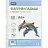 Файл-вкладыш Attache Selection А4+ 120 мкм прозрачный гладкий 50 штук в упаковке Фото 0 Файл-вкладыш Attache Selection А4+ 120 мкм прозрачный гладкий 50 штук в упаковке Фото 0