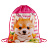 Мешок для обуви 1 отделение ArtSpace "Cute animals", 340*420мм, карман